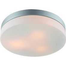 Arte Lamp A3211PL-3SI AQUA настенно-потолочный светильник (влагозащищенный)