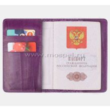 Обложка для паспорта «Чешир»