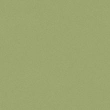 ТАРКЕТТ Акцент Про Аспект 9 линолеум коммерческий (3м) (рулон 60 кв.м)   TARKETT Aссzent Pro Aspect 9 линолеум коммерческий (3м) (20 пог.м.=60 кв.м.)