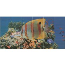 Декор El-Molino Sunset Aquarium Decor 1 250х500