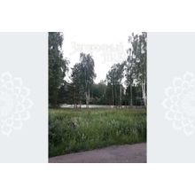 Носовихинское, 17 км от МКАД, Балашиха г.о, Полтево, Размер участка: 12 сот.