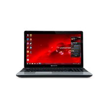 Ноутбук Packard Bell TE11HC-B822G32Mnks (Celeron B820 1700 Mhz   15.6   1366x768   2048Mb   320Gb   DVD-RW   NVIDIA GeForce GT 520M   Wi-Fi   Win 7 HB)