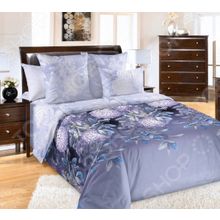 ТексДизайн «Ночная серенада»