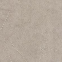 Обои Lutece 51162307