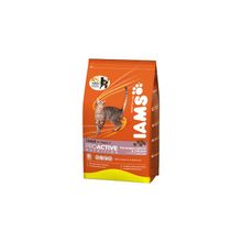 Iams Adult with Salmon для кошек с лососем