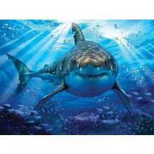 Стерео пазл PRIME 3D 10048 Большая белая акула