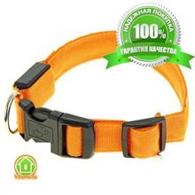 Светящийся ошейник со светоотражателем - 38-40 см, белый