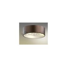 Cветильник настенно-потолочный Odeon Light 2047 3C Salar