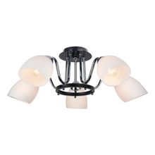 Люстра Arte Lamp A7144PL-5BK FIORENTINO