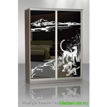Шкаф купе Концепт-2