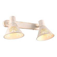 Спот Arte Lamp A5218AP-2WG CONO