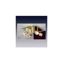 LUSSOLE  Спот  LSL-5201-04 Lussole Perspicuo