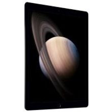 Apple Apple iPad Pro 12.9 2017 256Gb Wi-Fi MP6G2RU-A