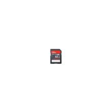 SanDisk SD10-32GB-U SD (SDSDU-032G-U46)
