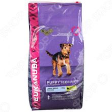 Eukanuba Puppy Large Breed