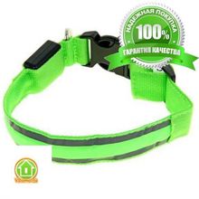 Светящийся ошейник со светоотражателем - 45-50 см, зеленый