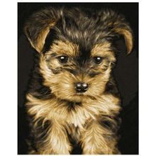 Schipper Щенок йоркширский терьер 24х30 см