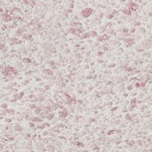 Silk Plaster Рельеф Г331 1 кг