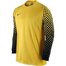 Свитер Nike Вратаря Park Iii Goalie Jersey Ls 361137-703 Jr