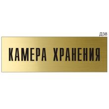 Информационная табличка «Камера хранения» на дверь прямоугольная Д38 (300х100 мм)