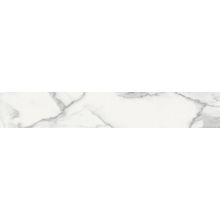 Baldocer Invictus Natural 20x120 см