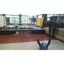 Ринг боксерский с боев. зоной 4 x 4 м., на помосте 5 x 5 м. высотой 0,5 м., Sparta