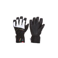 Одежда DAKINE PANTERA GLOVE RASTA