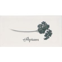 Керамическая плитка Ape Biselado Decor Apium Blanco декор 10х20