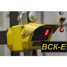 Весы крановые ВСК-Е от 600 кг до 10 т