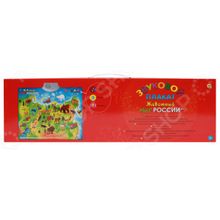 Рыжий кот «Животный мир России»