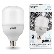 Gauss Лампа светодиодная Gauss Elementary LED T100 E27 32Вт 6500K 63233 ID - 430106