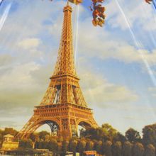 Зонт женский Ame Yoke Парижская осень