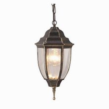 Arte Lamp Pegasus A3151SO-1BN