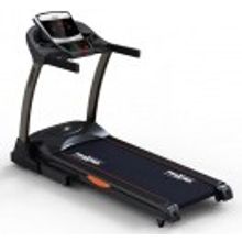 PROXIMA Fitness Persona Pulse