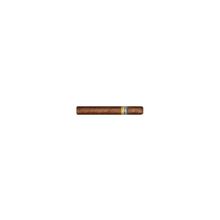 сигара COHIBA Siglo VI