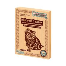 Набор для выжигания ДЕСЯТОЕ КОРОЛЕВСТВО Без рисунка 5шт.