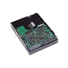 Жесткий диск HP server (SATA) HDD 500Gb 7200rpm