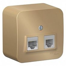 Розетка 2xRJ11+RJ45 Cat.5 BLANCA, титан |  код. BLNIA045114 |  Schneider Electric