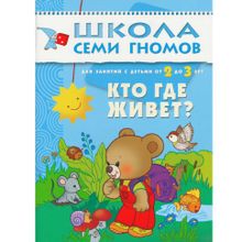 Комплект книг МОЗАИКА-СИНТЕЗ 4754 Школа семи гномов 2-3 года. полный годовой курс (12 книг с картонной вкладкой)