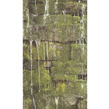 Rasch Barbara Becker 2 861303 861303