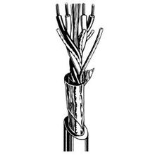 Canare L-4E5-4AT (LOT 1000M)