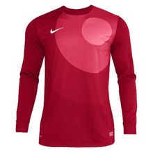 Свитер Nike Вратаря Ls Park Iv Gk Jsy 448265-604 Jr