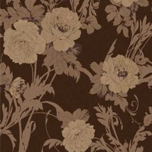 Обои флизелиновые Loymina Rosa Dragomirski R1010