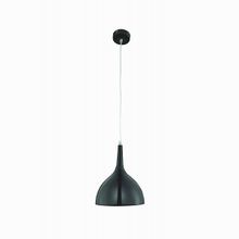 Arte Lamp Pendants 2 A9077SP-1BK