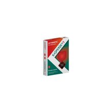 Kaspersky Antivirus 2013