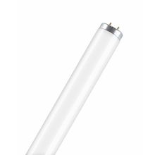 OSRAM Люминесцентная лампа OSRAM L20 640 XL  Fa6