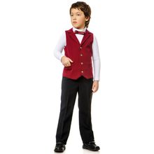 President School на мальчика винный