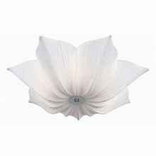 ST-Luce Fiore SL359.502.07