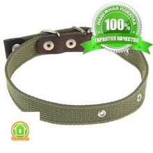 Ошейник брезентовый