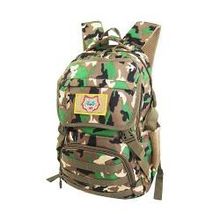 Рюкзак Stelz молодежный (А2308-2)
